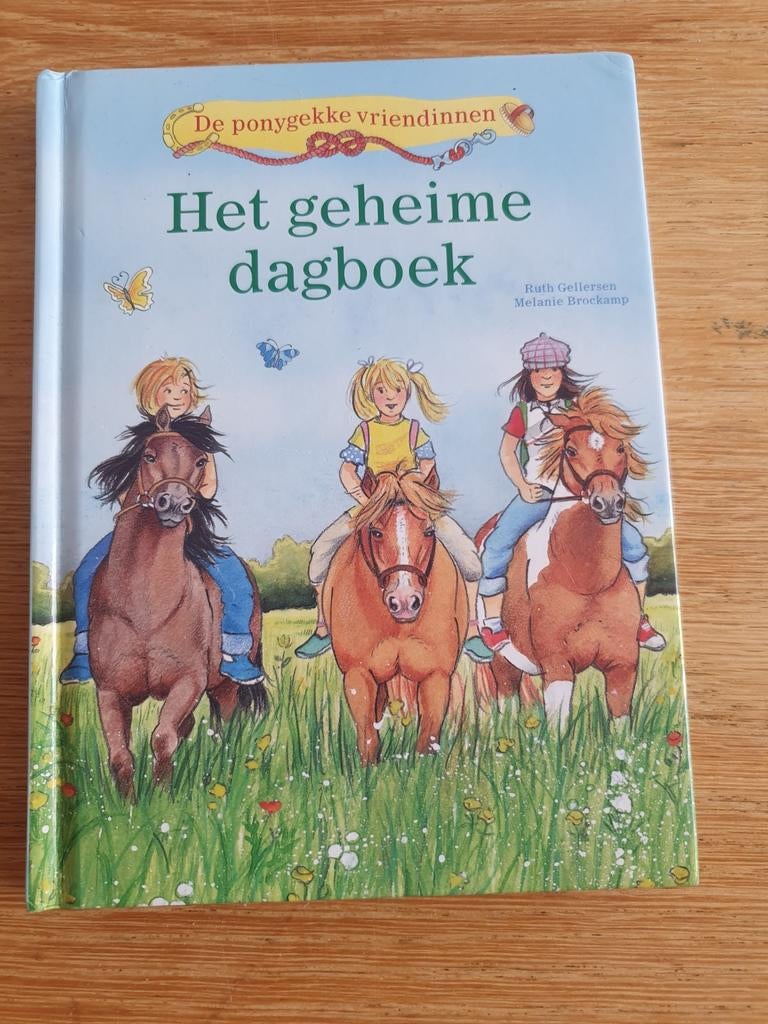 Het geheime dagboek - De ponygekke vriendinnen, Ophalen of Verzenden, Gelezen, Ruth Gellersen, Melanie Brockamp, Fictie algemeen