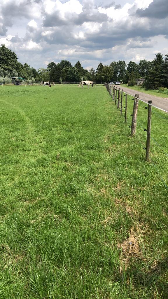 Gezocht weiland grasland