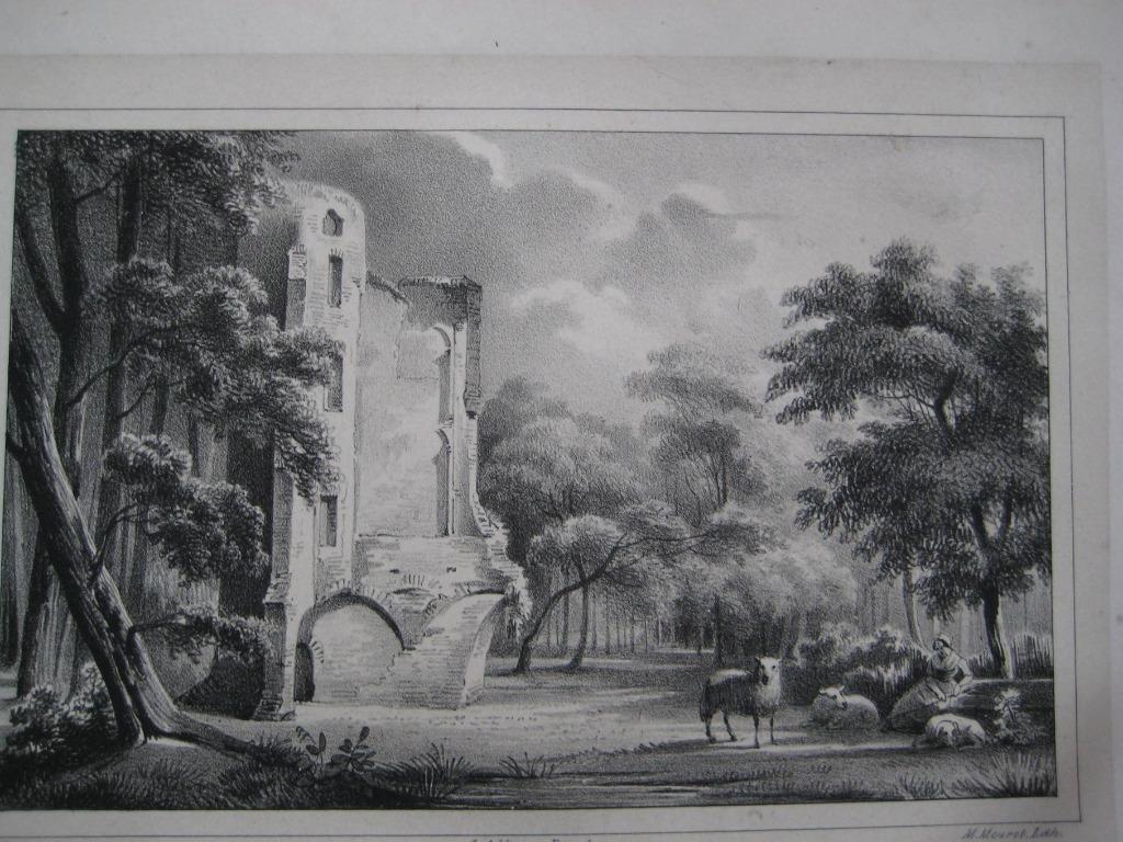 14 Haaften Ruïne van het Huis Litho 1846, Ophalen of Verzenden
