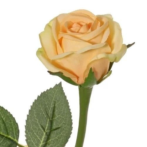 TOPART - ROOSJE - ORANJE - ZALM ROZE - ZACHT ROZE, Huis en Inrichting, Ophalen of Verzenden, Nieuw