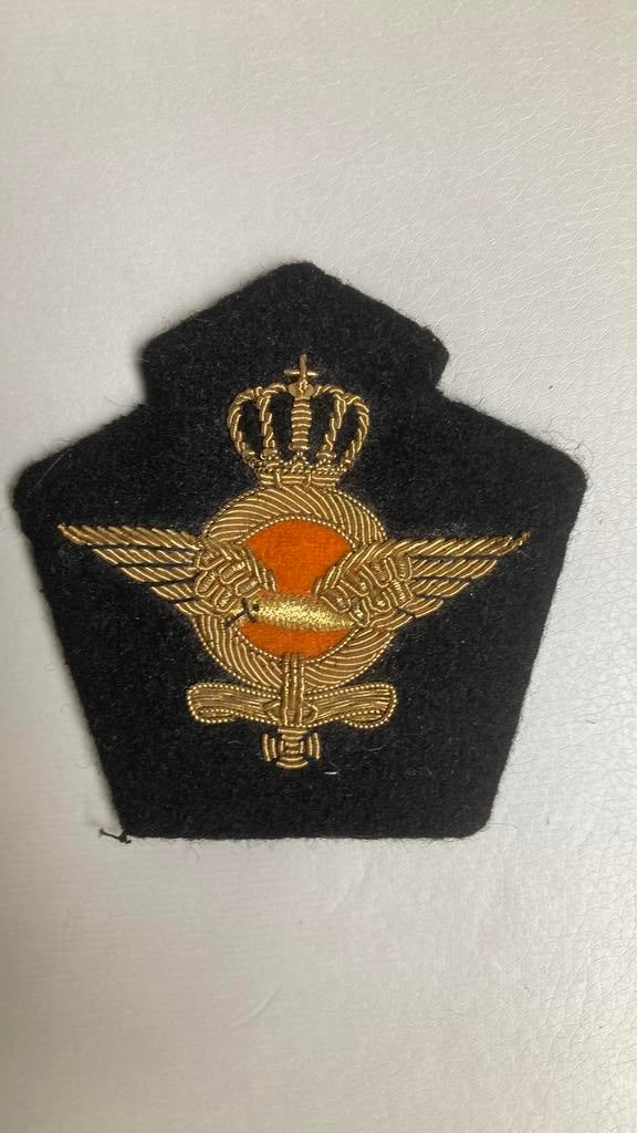 Petembleem Koninklijke Luchtmacht, Ophalen of Verzenden, Luchtmacht, Nederland, Embleem of Badge