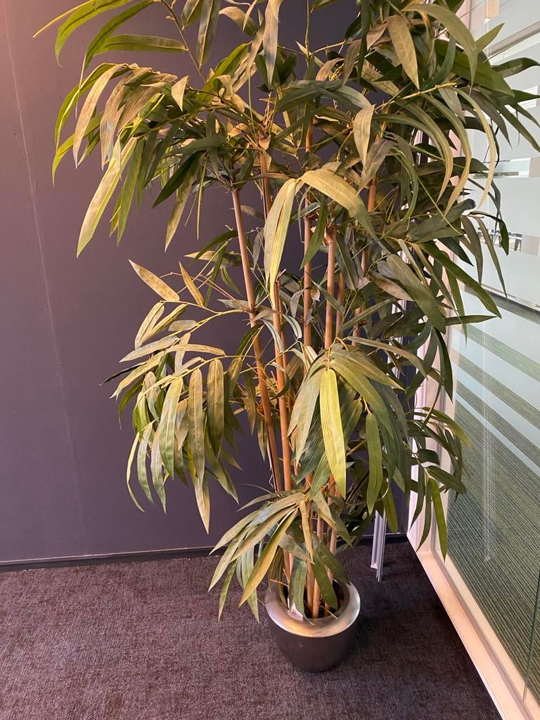Kunstplant Bamboe - 170 cm hoog, Ophalen, Binnen, Kunstplant, Kunststof