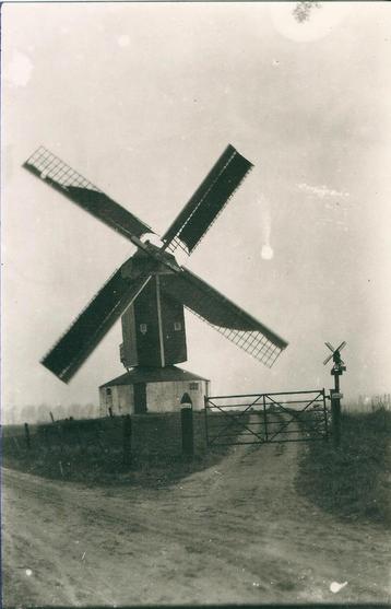 Waarde molen foto ca. 1930 afdruk ca. 1975 beschikbaar voor biedingen
