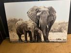 Spandoek schilderij Olifanten familie 116x80, Huis en Inrichting, Ophalen, Zo goed als nieuw, Schilderij