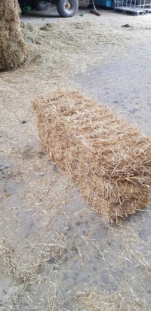 TE KOOP, hooi en stro balen groot en klein, Dieren en Toebehoren, Dierenvoeding, Vee, Ophalen of Verzenden