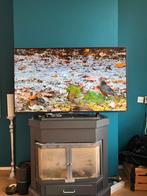 SONY flatscreentelevisie 49 inch, Ophalen, Gebruikt, 50 Hz, LCD