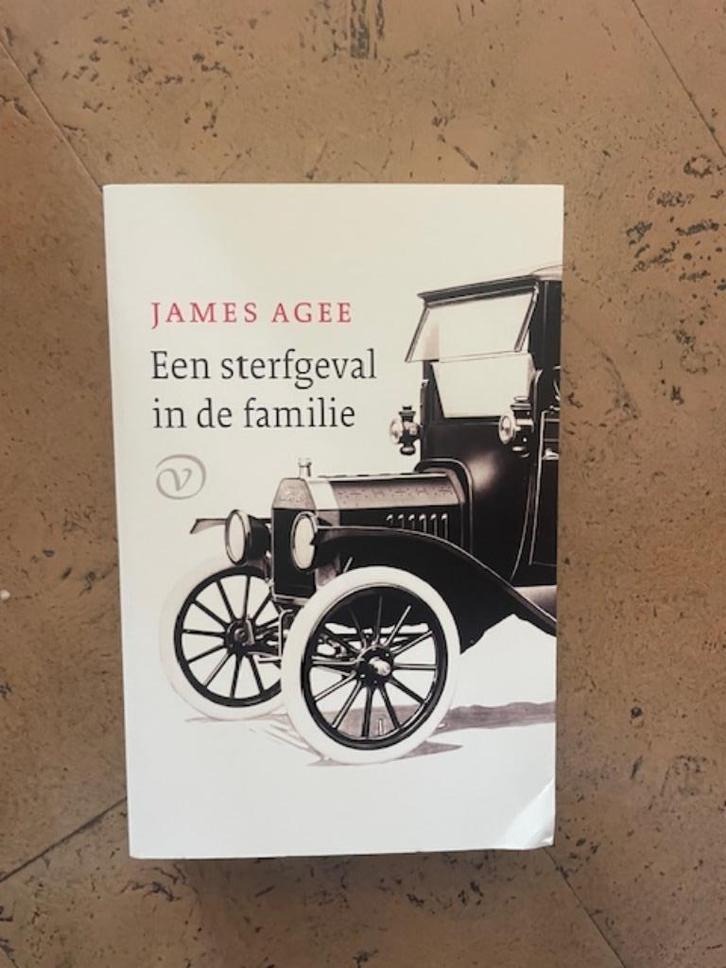 Een sterfgeval in de familie, Boeken, Literatuur, Zo goed als nieuw, Amerika, Ophalen of Verzenden