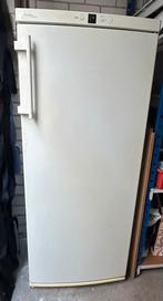 Liebherr vrieskast 6 lades, Witgoed en Apparatuur, Vriezers en Diepvrieskisten, Gebruikt, 120 tot 140 cm, Ophalen, Vrieskast