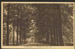 Driebergen, Entrée van het dorp. 1931., Ophalen of Verzenden, 1920 tot 1940, Gelopen, Utrecht