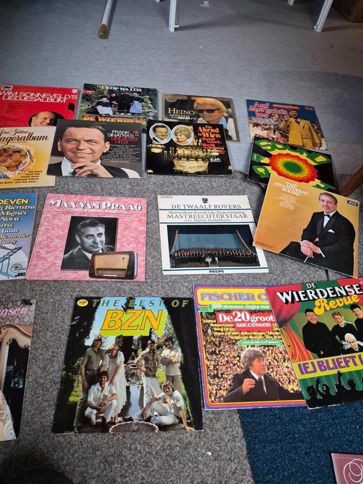 Diverse Vinyl Platen Collectie, Cd's en Dvd's, Vinyl | Overige Vinyl, Gebruikt, 12 inch, Ophalen