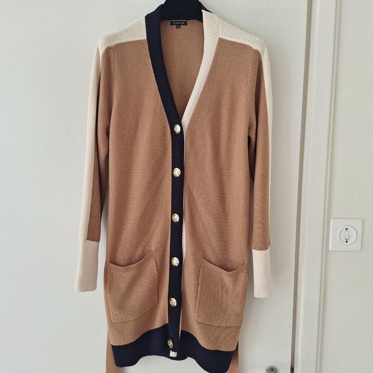 Caroline Biss vest beige, blauw, ecru met 38, Kleding | Dames, Truien en Vesten, Zo goed als nieuw, Maat 38/40 (M), Beige, Ophalen of Verzenden