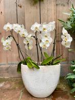 2 nieuwe Brynxz potten crème kleur, Ophalen, Wit, Aardewerk of Porselein, Nieuw