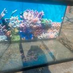 Aquarium 60x33x30 cm, Ophalen of Verzenden, Gebruikt, Leeg aquarium