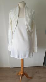 Mooie trui, Kleding | Dames, Truien en Vesten, Overige kleuren, Ophalen of Verzenden, Zo goed als nieuw, Maat 36 (S)