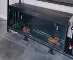 Juwel rio 240 liter, Ophalen, Zo goed als nieuw, Leeg aquarium