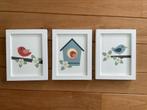 3 lijsten met prent vogels, Ophalen of Verzenden, Zo goed als nieuw, Schilderij, Minder dan 50 cm