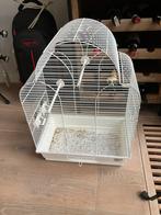 Vogelkooi kanarie, Dieren en Toebehoren, Vogels | Hokken en Kooien, Ophalen, Zo goed als nieuw, Metaal, Vogelkooi