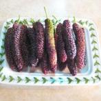 Morus alba 'Giant Fruit' / moerbei met grote vruchten ‼️‼️, Lente, 250 tot 400 cm, Ophalen, Volle zon