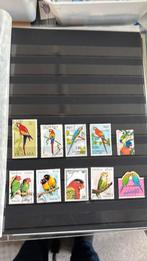 Papagaai/ parkiet, Ophalen of Verzenden, Overige thema's