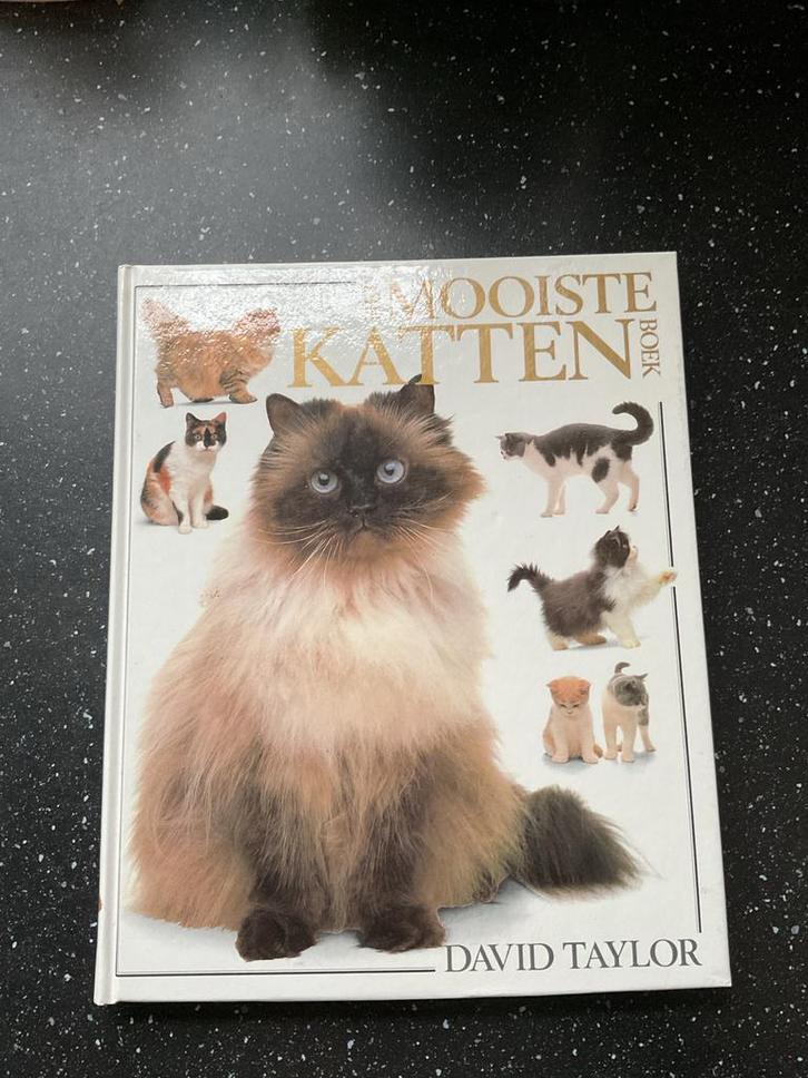 Het Mooiste Kattenboek - David Taylor ALS NIEUW, Boeken, Dieren en Huisdieren, Gelezen, Katten, Ophalen of Verzenden
