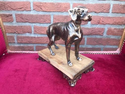 mooi beeld van een jachthond, gietijzer, Antiek en Kunst, Kunst | Beelden en Houtsnijwerken, Ophalen of Verzenden