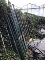 Palen voor hekwerk., Tuin en Terras, Ophalen of Verzenden, Zo goed als nieuw, IJzer