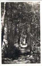 Blaricum, Bospaadje, verstuurd 1944, uitgave Koopmans,, Verzenden, 1940 tot 1960, Gelopen, Noord-Holland