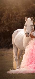Leuke kleine witte B pony te koop, Dieren en Toebehoren, Pony's, Zadelmak, B pony (1.17m tot 1.27m), Gechipt, Ruin