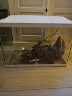 Aquarium 60 x 40 x 32, Ophalen, Gebruikt, Leeg aquarium