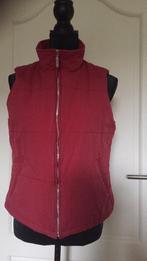 Rode Esprit bodywarmer mt 38, Kleding | Dames, Bodywarmers, Esprit, Maat 38/40 (M), Ophalen of Verzenden, Zo goed als nieuw