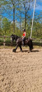 Verzorg/lease pony gezocht, Dieren en Toebehoren, Paarden en Pony's | Verzorgingsproducten, Ophalen of Verzenden, Zo goed als nieuw
