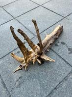 Aquarium of Terrarium boomstronk, Ophalen of Verzenden, Plant(en), Steen of Hout