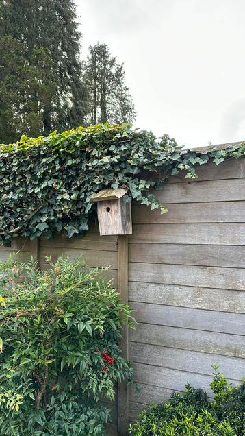 Houten vogelhuisje (door timmerman ontworpen en gemaakt)