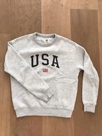 America today sweater trui grijs xs, Ophalen of Verzenden, Zo goed als nieuw, America today, Maat 34 (XS) of kleiner