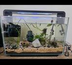 Superfish aquarium met toebehoren, Dieren en Toebehoren, Vissen | Aquaria en Toebehoren, Ophalen, Zo goed als nieuw, Leeg aquarium