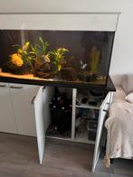 Fx6 fluval, Dieren en Toebehoren, Vissen | Aquaria en Toebehoren, Ophalen, Zo goed als nieuw