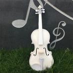 Beginner Viool - violen - viool 4 4, Muziek en Instrumenten, Strijkinstrumenten | Violen en Altviolen, Ophalen of Verzenden, Nieuw