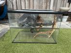 Knaagdieren (hamster, muis, gerbil) terrarium, Minder dan 75 cm, Zo goed als nieuw, Hok, Hamster
