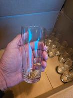 Bierglas fluitje (12 stuks), Verzamelen, Glas en Borrelglaasjes, Zo goed als nieuw, Ophalen, Bierglas
