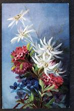 Edelweiss, Mary Golay, Verzenden, Voor 1920, Ongelopen, Natuur