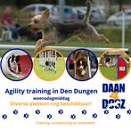 Agility training in Den Dungen, Ophalen, Nieuw