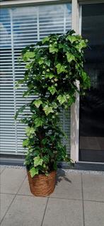 Prachtige kunstplanten nieuw, Huis en Inrichting, Woonaccessoires | Kunstplanten en Kunstbloemen, Ophalen of Verzenden, Nieuw