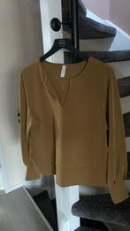 GERRY WEBER TRUI MAAT 44 gold/brons zgan, Ophalen, Zo goed als nieuw, Maat 42/44 (L)