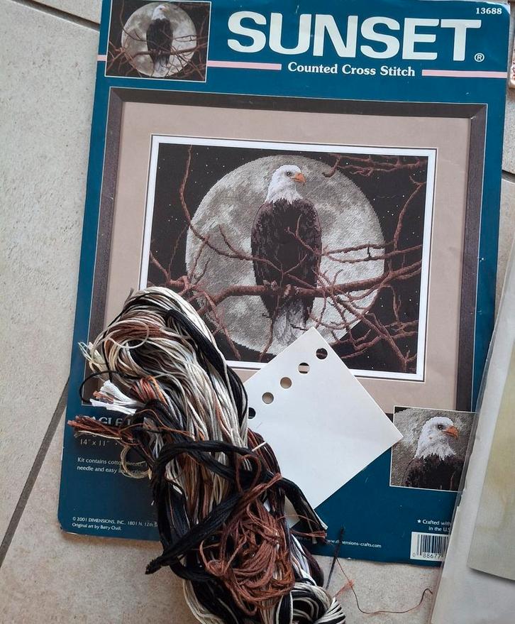 Eagle in moonlight patroon, stof en borduurgaren, Hobby en Vrije tijd, Borduren en Borduurmachines, Gebruikt, Borduurpakket, Handborduren