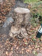 Hout om te hakken - Gratis af te halen!, Ophalen, Gebruikt, Overige typen, Hardhout