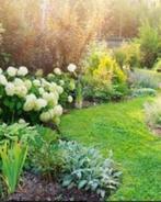de tuinman, Tuin en Terras, Ophalen