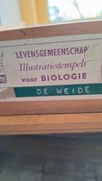 Vintage Illustratiestempels Biologie - De Weide en Het Bos, Ophalen of Verzenden, Gebruikt, Houten stempel