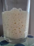 Desemstarter zuurdesem, Diversen, Levensmiddelen, Ophalen