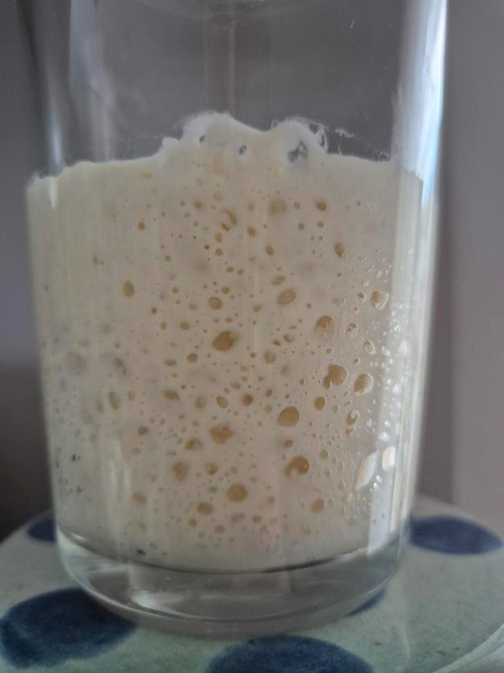 Desemstarter zuurdesem, Diversen, Levensmiddelen, Ophalen of Verzenden