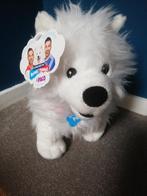 Schattige Pluche Hond Rutger, Thomas & Paco, Ophalen of Verzenden, Zo goed als nieuw, Hond